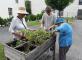 Jardinage Résidence Saint Exupéry Marmande